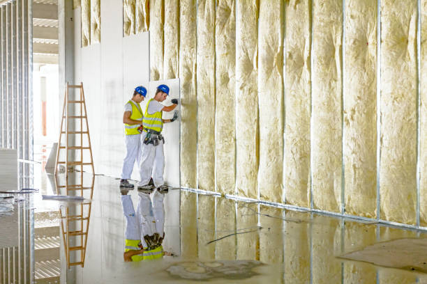 Best Insulation Installation Services in Hudson Falls, NY